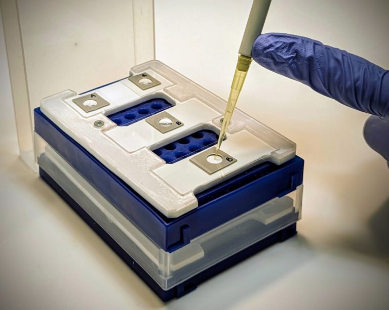 Mit einer Pipette wird vorsichtig Flüssigkeit auf einen Glasträger gegeben.